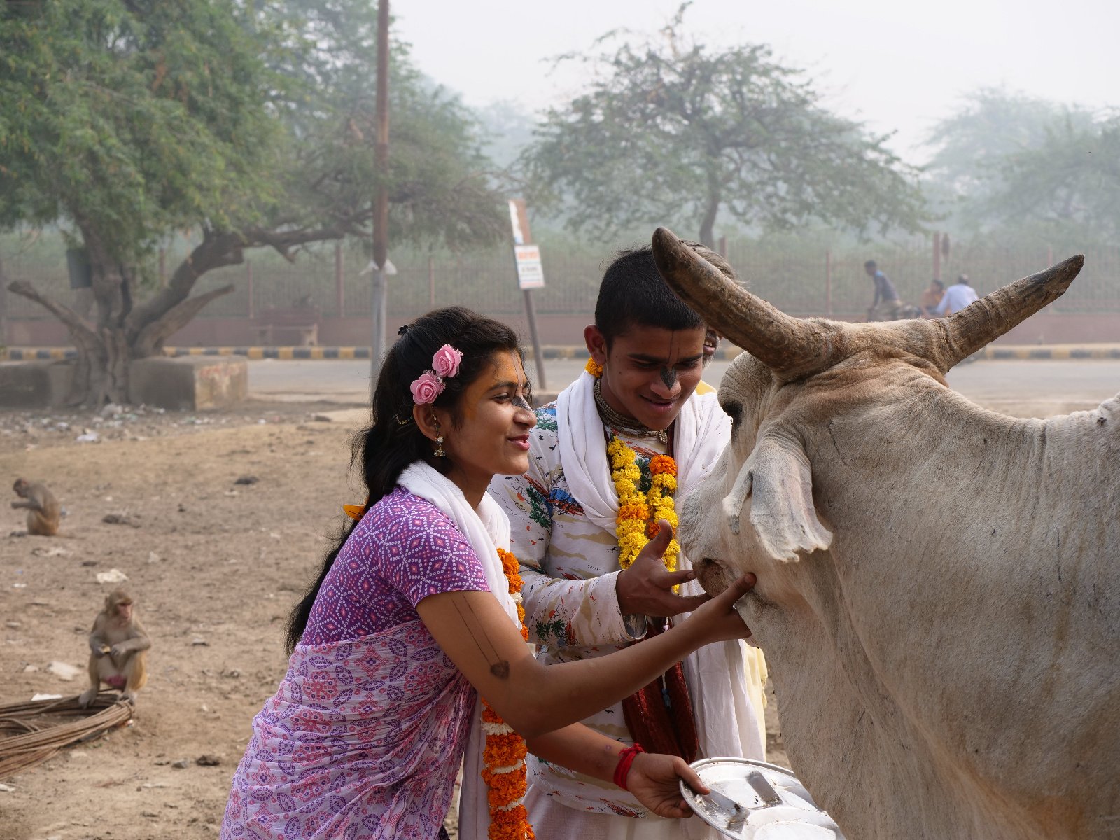  200 Gopashtami Radha kunda Govardhan 19.11.04